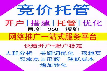 百度推广费用投入与品牌知名度提升的案例分析
